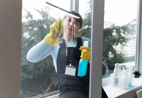 Nettoyage de vitres intérieures et extérieures à Saint-Gengoux-de-Scissé